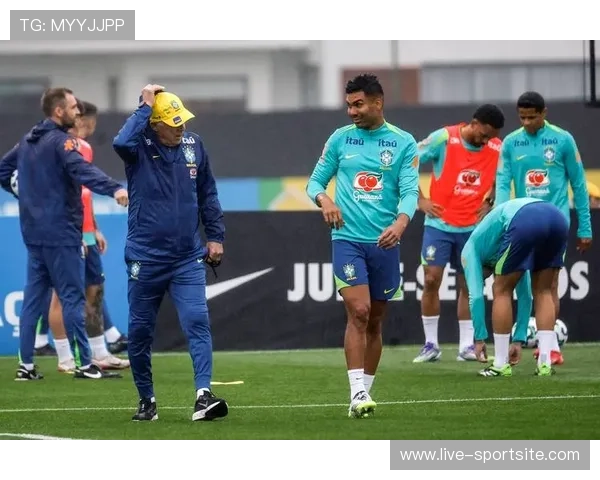 巴西世界杯决赛对世界足球发展的推动作用与未来展望