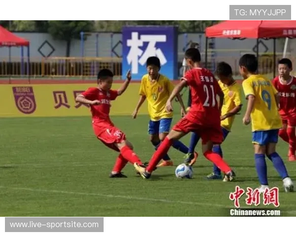 日韩世界杯如何促进两国青年足球运动的发展与普及
