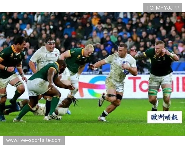 橄榄球世界杯明星球员成长故事与他们在赛场上的精彩表现