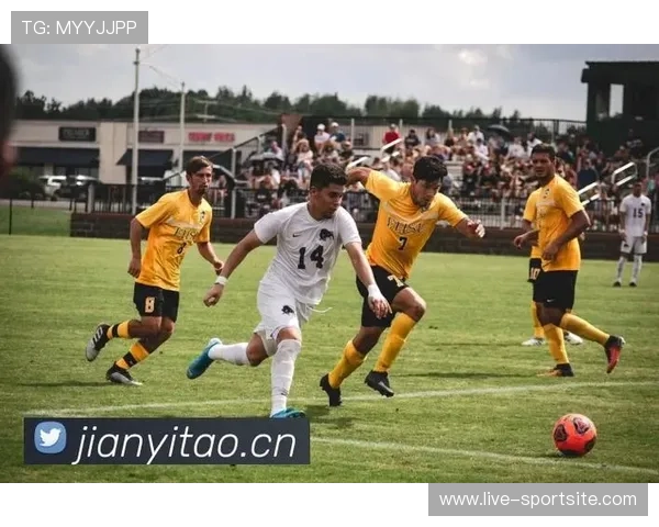 尊龙凯时足球安全保障措施全面介绍确保玩家账户信息安全与资金安全的实用建议